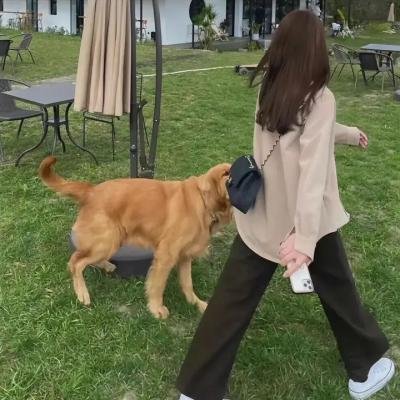 宅男慢半拍